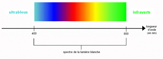 rayons-infraverts.png