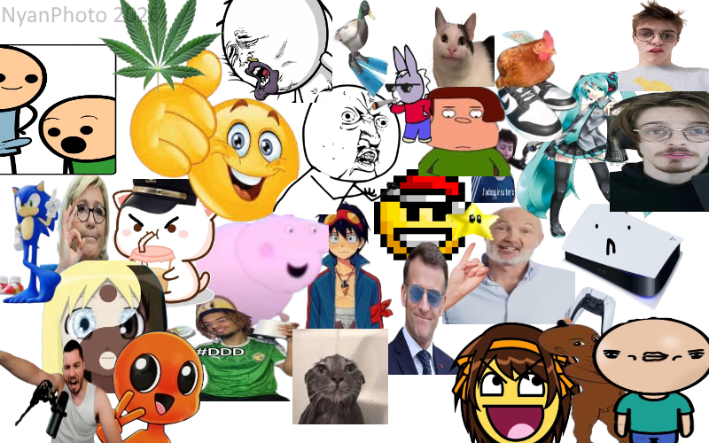 Fichier:NyanPhoto.png