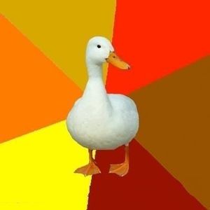 The-very-best-of-the-tech-impaired-duck-meme.jpg