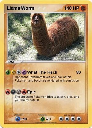 Llama worm carte 1.jpg