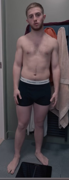 Fichier:michou morphologie.png