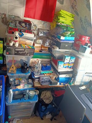 chambre pingpong 2022 8.jpeg