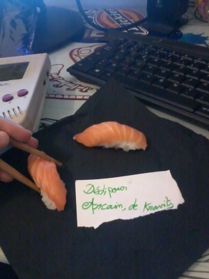 dedi sushi.webp