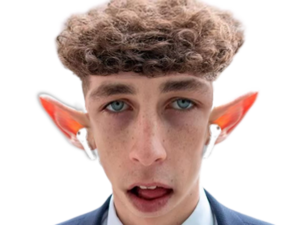 quoicoubeh dylan.png