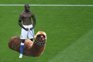 Balotelli lamasticot.jpg