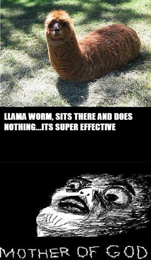 Llama worm sits there.jpg