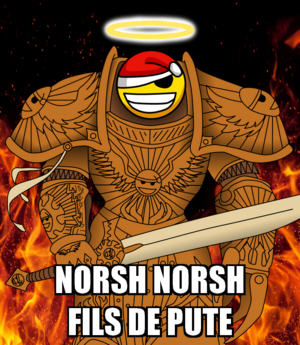 Norsh norsh fdp.png