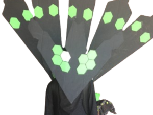 Zygarde 50 1 Bootleg.png