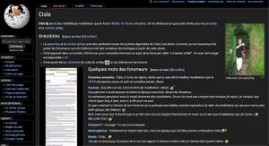 mode sombre wiki - version pc.jpg