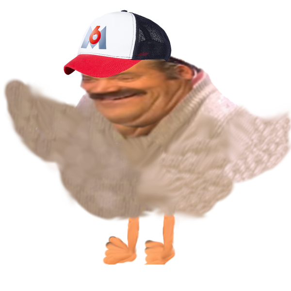 Fichier:sticker-risitas-oiseau-canard-casquette-m6u-2.png