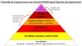 Pyramide de la gouvernance sur le forum PMDM après l'élection de SuperArcanin