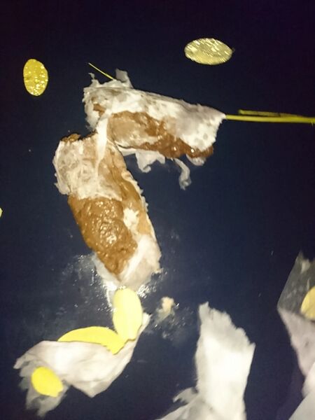 Fichier:NSFW MasterPucix Scato 2016 002.jpg