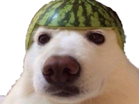 chienmelon.png