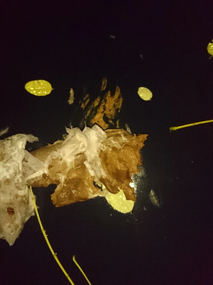 NSFW MasterPucix Scato 2016 001.png