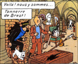 Tintin Rackham.png