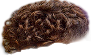 template cheveux quoicoubeh.png