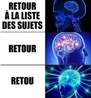 RetouMeme4.jpg