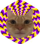 badge onche cat.png