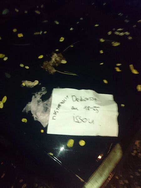 Fichier:NSFW MasterPucix Scato 2016 003.jpg