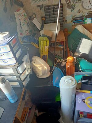 chambre pingpong 2022 7.jpeg