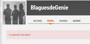 BlaguesdeGenie.jpg