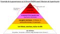 Pyramide de la gouvernance sur le forum PMDM avant l'élection de SuperArcanin