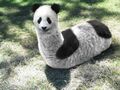 Pandasticot