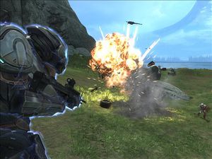 Reach 19149519 Medium.jpg