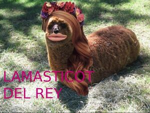 Lamasticot del rey.jpg