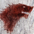 Fichier:avatar -Tiger.webp