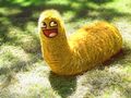 Llama worm awesome.jpg