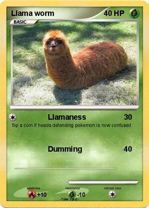 Llama worm carte 2.jpg