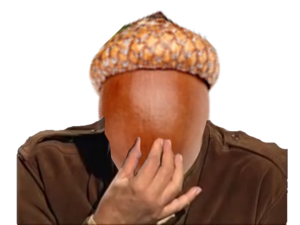 ok gland de chêne sticker.png