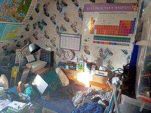 chambre pingpong 2022 9.jpeg