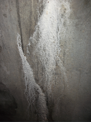 urbex manit007 003.png